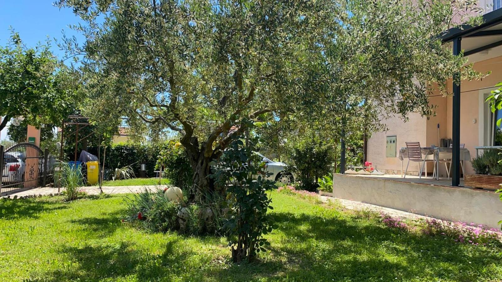 Gracijana Poreč